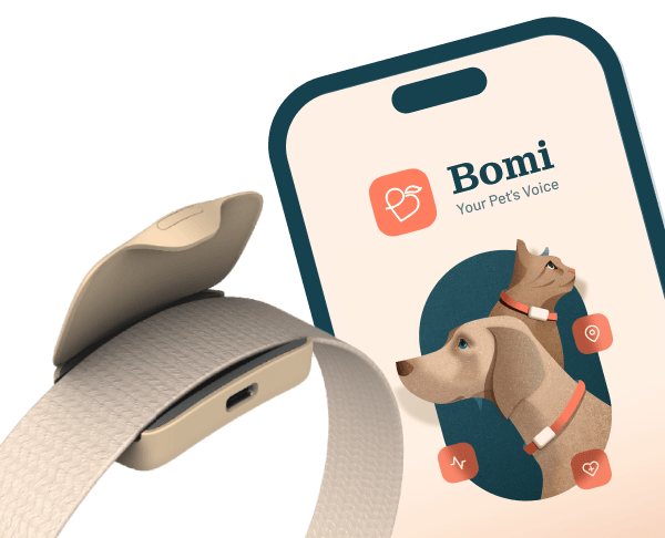 Bomi Sensors